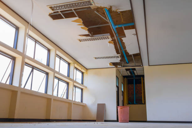 Best Flood damage cleanup  in Darien, IL