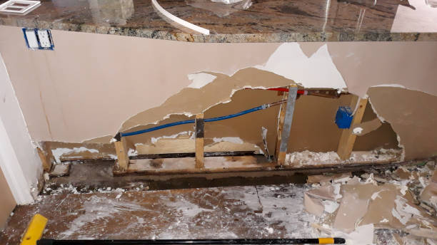 Best Water damage restoration process  in Darien, IL