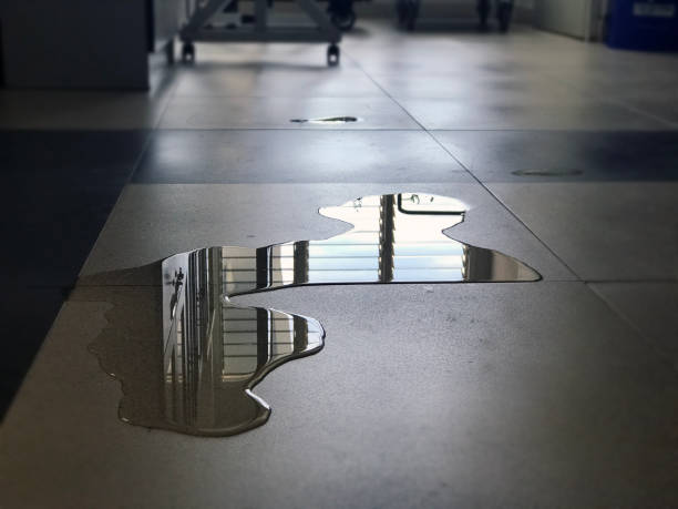 Best Water damage repair service  in Darien, IL
